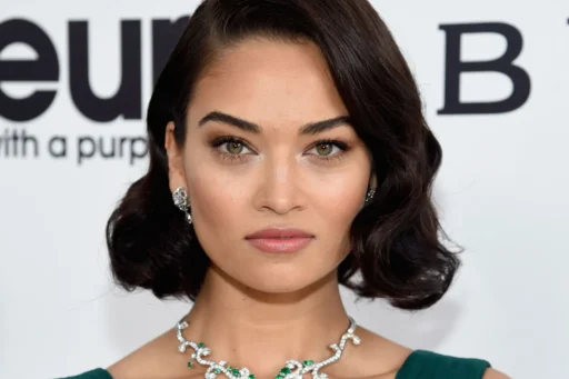 Discovering the Beauty and Talent of Shanina Shaik