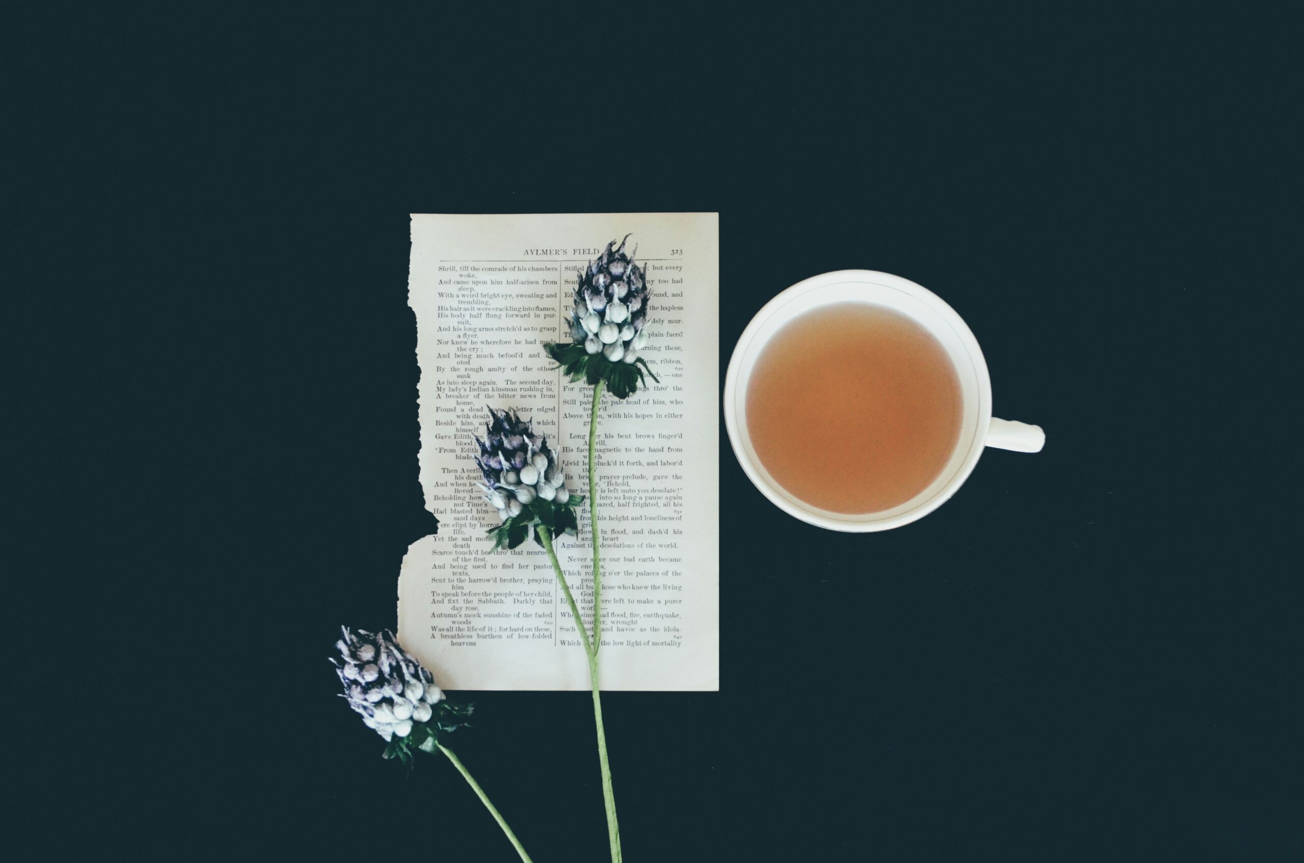 Discover the Amazing Health Moringa Tea Benefits